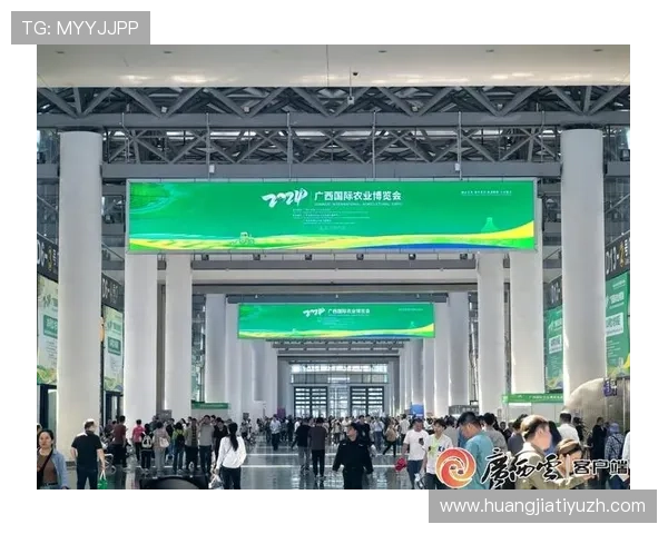 七星国际入口官方入口地址2024年最新更新确保玩家安全畅玩无忧